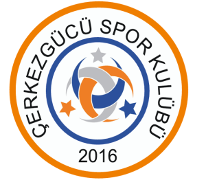 Futbol takımı sitesi 